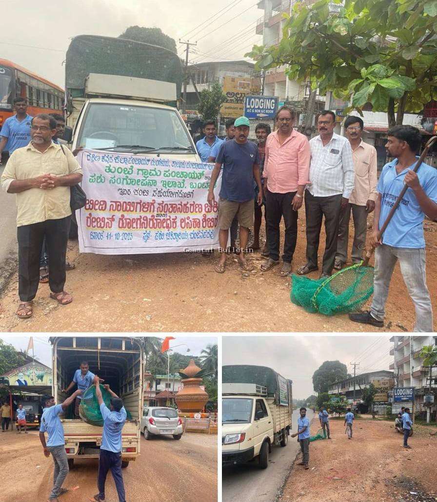 ತುಂಬೆ: ಗ್ರಾ ಪಂ ನೇತೃತ್ವದಲ್ಲಿ ಬೀದಿ ನಾಯಿಗಳ  ನಿಯಂತ್ರಣಕ್ಕೆ "ಆಪರೇಷನ್ ಡಾಗ್"ಕಾರ್ಯಾಚರಣೆ.