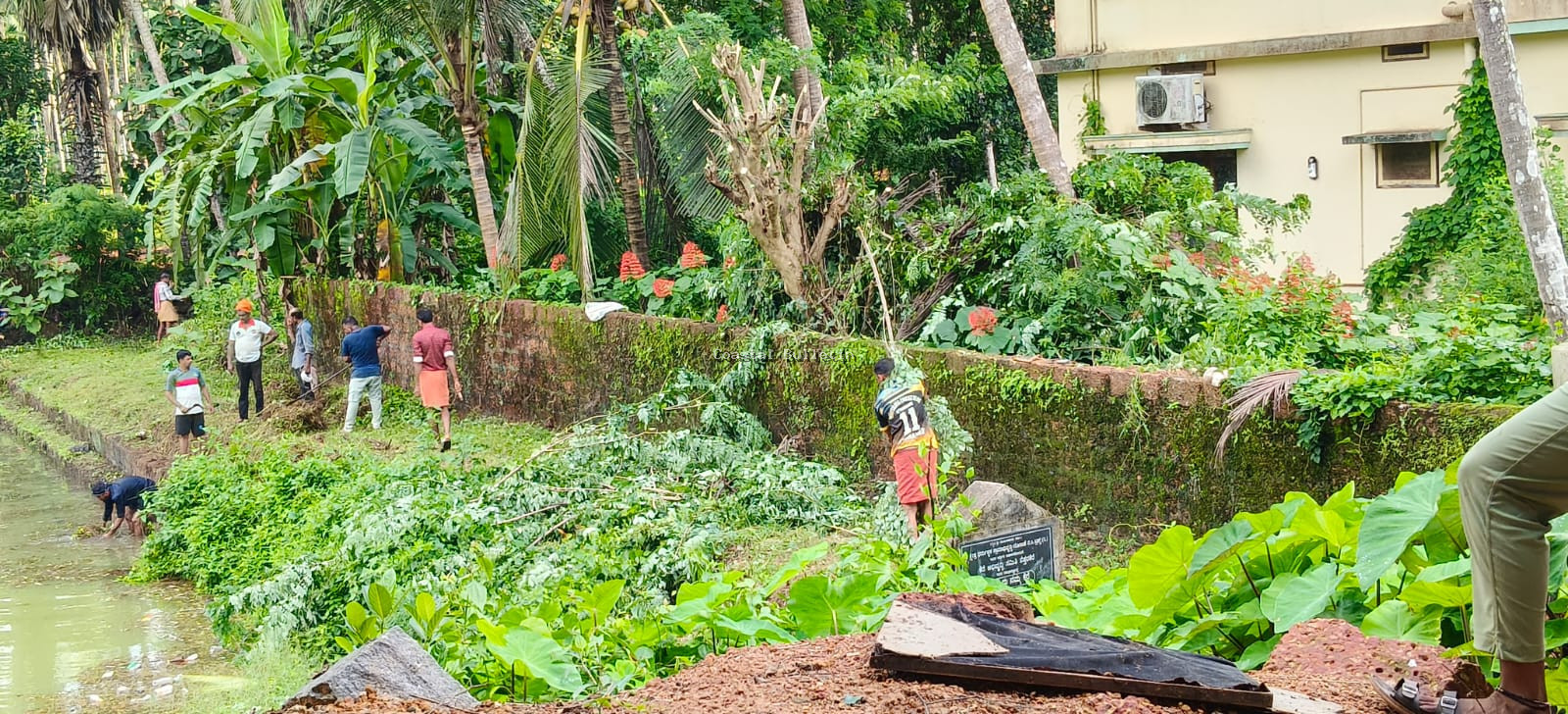 ನೆತ್ತರಕೆರೆ :ನವೋದಯ ಮಿತ್ರ ಕಲಾ ವೃಂದದ ಅಶ್ರಯದಲ್ಲಿ ಸ್ವಚ್ಛತಾ ಅಭಿಯಾನ.