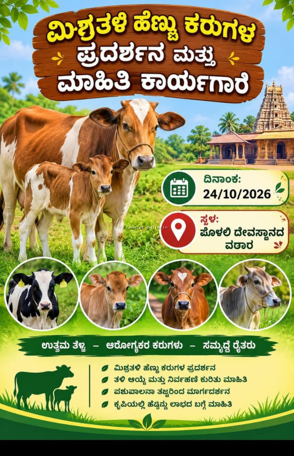 ಪೊಳಲಿ:ಅ.24ರಂದು ಮಿಶ್ರ ತಳಿ ಹೆಣ್ಣು ಕರುಗಳ ಪ್ರದರ್ಶನ ಮತ್ತು ಮಾಹಿತಿ ಕಾರ್ಯಾಗಾರ.