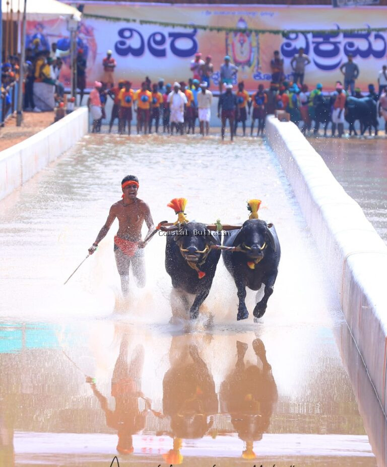 ಸಿದ್ಧಕಟ್ಟೆ ಕೋಡಂಗೆ: 2ನೇ ವರ್ಷದ  &ldquo;ವೀರ &ndash; ವಿಕ್ರಮ&rdquo; ಜೋಡುಕರೆ ಕಂಬಳ ಕೂಟದ ಫಲಿತಾoಶ
