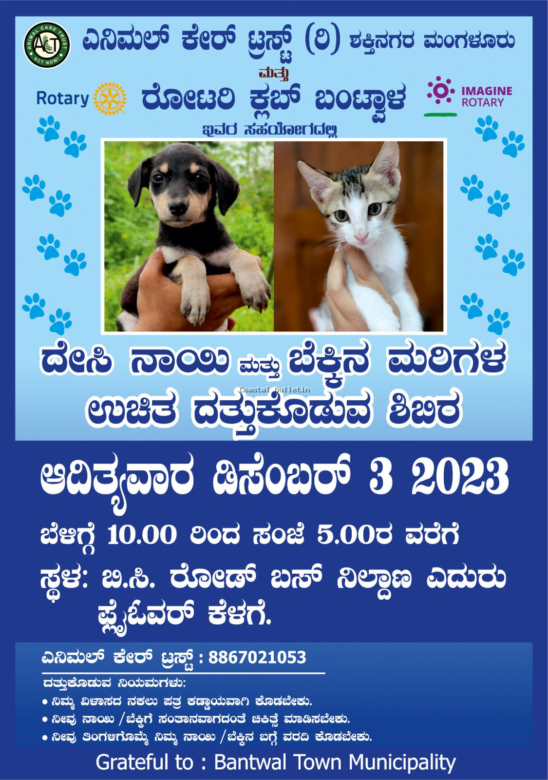 ಬಿ ಸಿ ರೋಡ್ :ಡಿ.3ರಂದು ದೇಸಿ ನಾಯಿ, ಬೆಕ್ಕು ಮರಿಗಳನ್ನು ಉಚಿತ ದತ್ತು ಕೊಡುವ ಶಿಬಿರ.