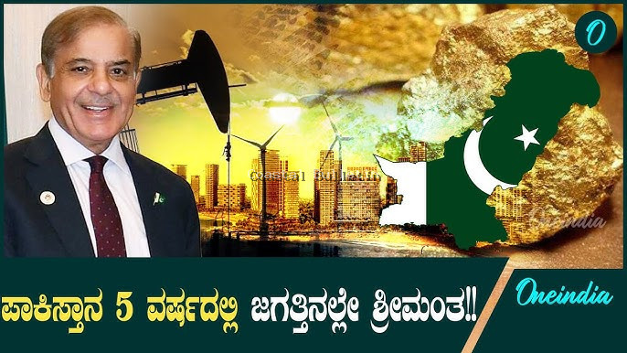 ಪಾಕಿಸ್ತಾನದ ಸಮುದ್ರದಲ್ಲಿ 'ನಿಧಿ' ಪತ್ತೆ; ಅರಬ್ ದೇಶಗಳಂತೆ ಶ್ರೀಮಂತ ದೇಶವಾಗುವ ಮುನ್ಸೂಚನೆ!