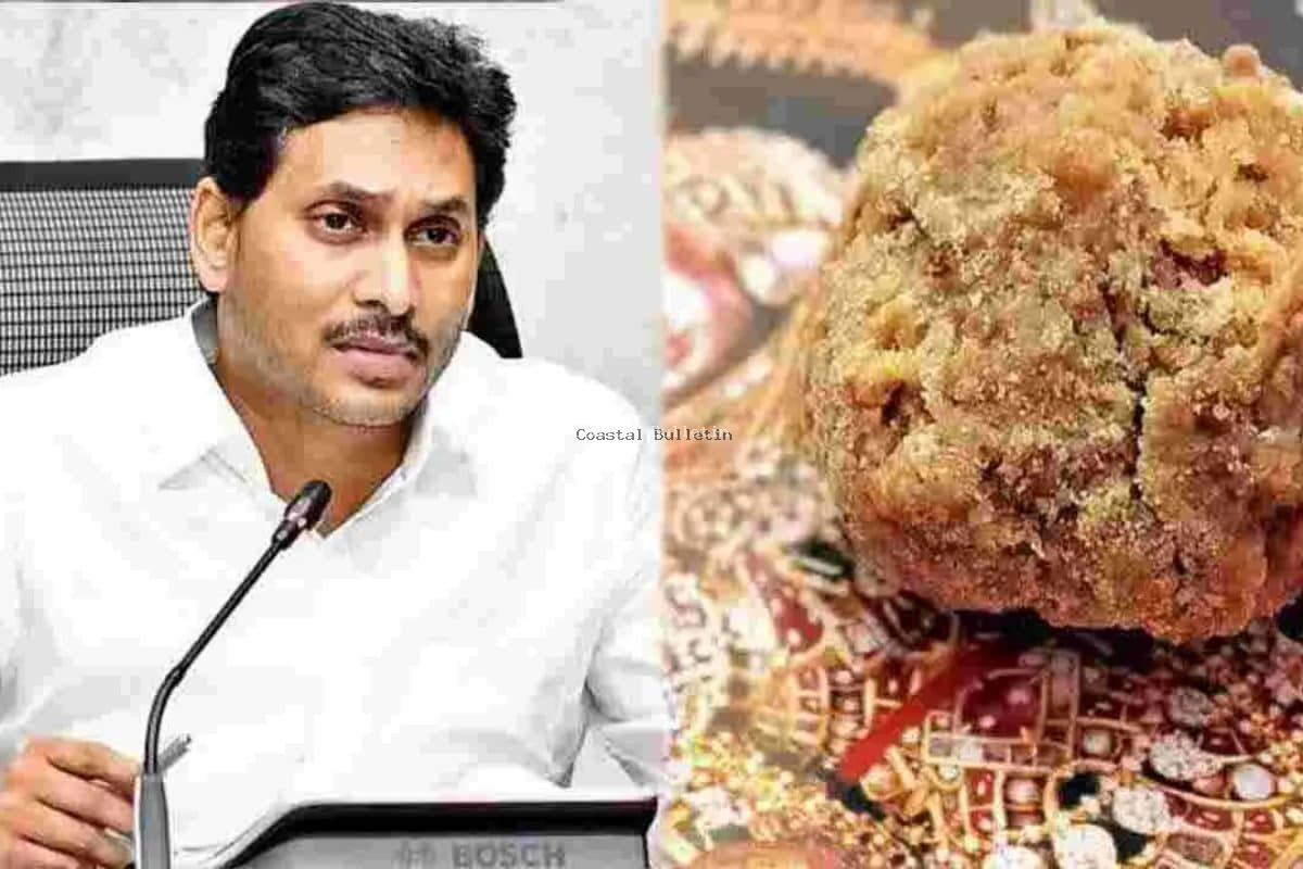 ತಿರುಪತಿ ಲಡ್ಡು ತಯಾರಿಸಲು ಬಳಸಿದ್ರಾ ಬಾತ್​ರೂಮ್ ಸ್ವಚ್ಛಗೊಳಿಸುವ ರಾಸಾಯನಿಕ? ಹಿಂದಿನ ಸರ್ಕಾರದ ವಿರುದ್ಧ ನಾಯ್ಡು ಸ್ಫೋಟಕ ಆರೋಪ