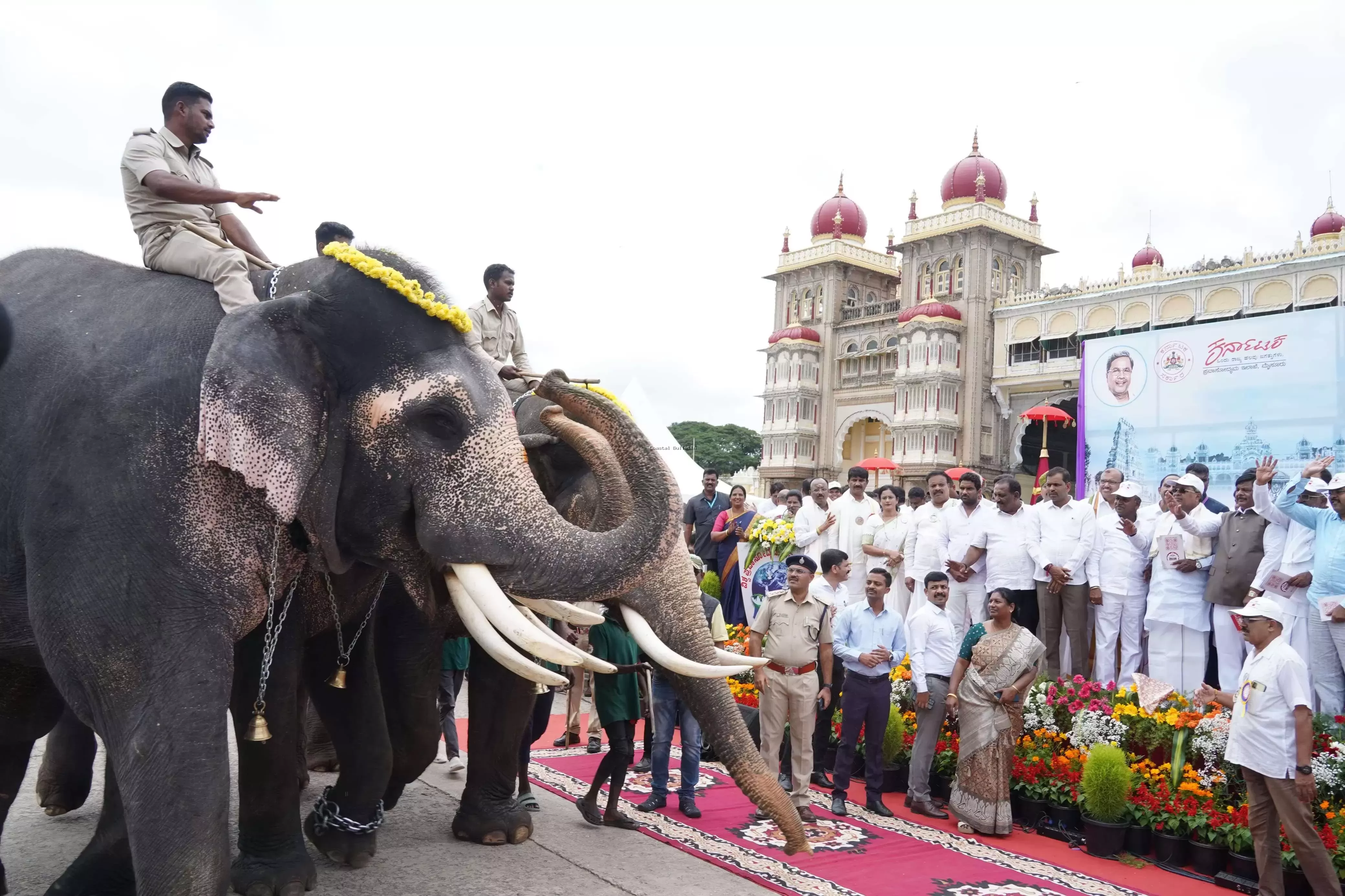 ಇಂದು ಮೈಸೂರು ದಸರಾಗೆ ಅದ್ಧೂರಿ ಚಾಲನೆ.. ಸಾಹಿತಿ ಹಂಪ ನಾಗರಾಜಯ್ಯರಿಂದ ಉದ್ಘಾಟನೆ