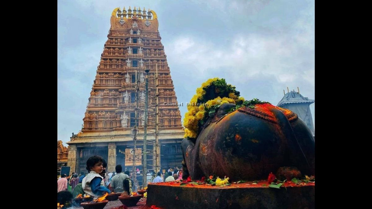 ನಂಜನಗೂಡು ದೇವಸ್ಥಾನದ ಉತ್ಸವಮೂರ್ತಿ ಅಪವಿತ್ರಗೊಳಿಸಿದ ಅಪರಾಧಿಗಳನ್ನು ಬಂಧಿಸದ ಪೊಲೀಸರ ನಿರ್ಲಕ್ಷ್ಯಕ್ಕೆ ವ್ಯಾಪಕ ಆಕ್ರೋಶ.