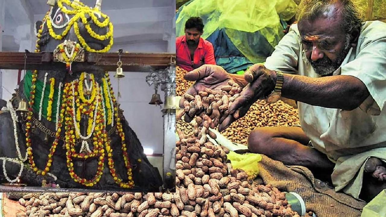 ಬೆಂಗಳೂರು: ಬಸವನಗುಡಿಯಲ್ಲಿ ನಡೆಯುವ ಐತಿಹಾಸಿಕ ಕಡಲೆಕಾಯಿ ಪರಿಷೆಗೆ ಮುಜರಾಯಿ  ಮತ್ತು ಸಾರಿಗೆ ಸಚಿವ ರಾಮಲಿಂಗಾ ರೆಡ್ಡಿ ಚಾಲನೆ.