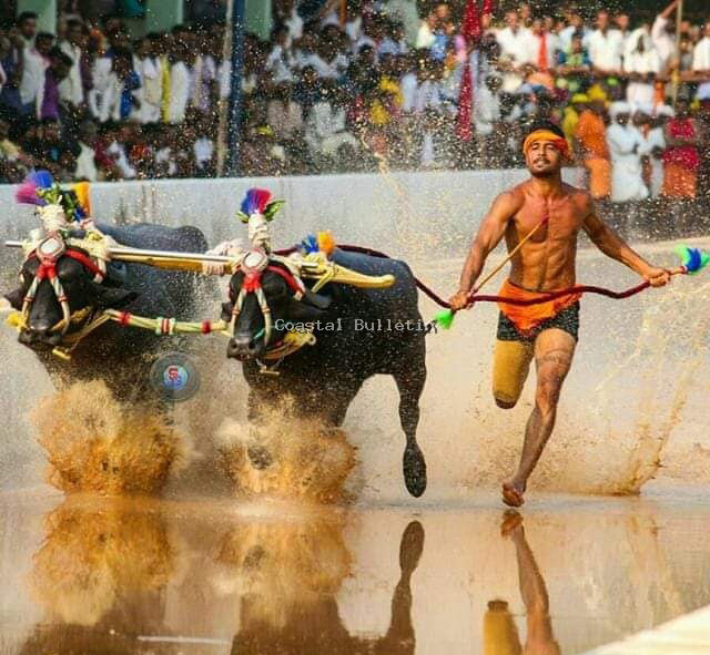 ತುಳುನಾಡಿನ ಹೆಮ್ಮೆಯ ಕಂಬಳಕ್ಕೆ ಸರಕಾರದಿಂದ ಅನುದಾನ ನೀಡಲಾಗುವುದು- ಡಿ.ಕೆ.ಶಿವಕುಮಾರ್