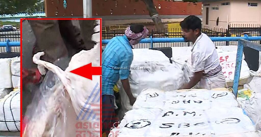 ರಾಜಸ್ಥಾನದಿಂದ ಬೆಂಗಳೂರಿಗೆ ಬರುತ್ತಿದೆ ನಾಯಿ ಮಾಂಸ ಮಿಶ್ರಿತ ಮಟನ್ ಮಾಂಸ!