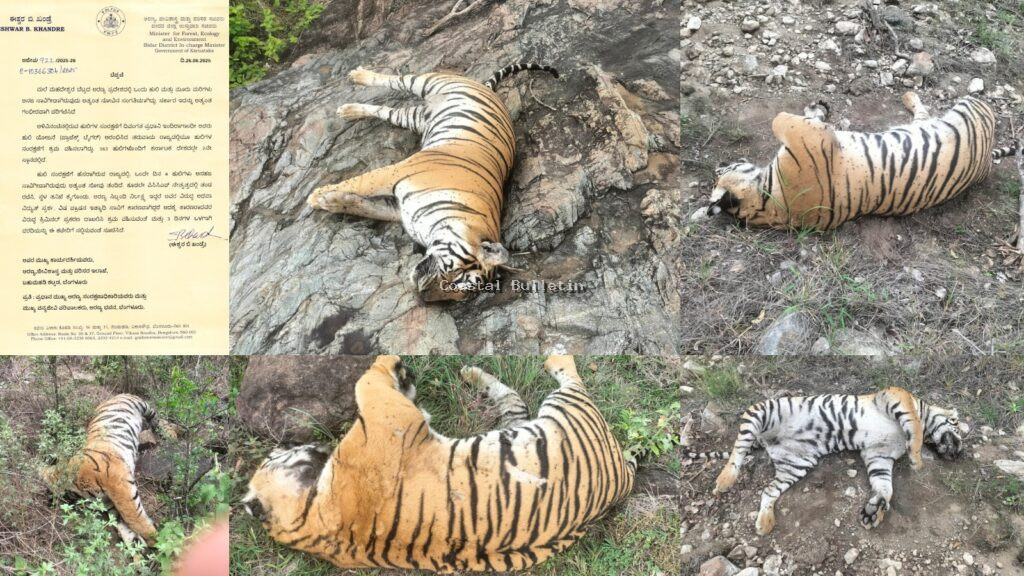 ಮಲೆ ಮಹದೇಶ್ವರ ಬೆಟ್ಟದಲ್ಲಿ 5 ಹುಲಿಗಳ ಸಾವು, ವಿಶೇಷ ತನಿಖಾ ತಂಡ ರಚಿಸಿದ ಕೇಂದ್ರ ಸರ್ಕಾರ!