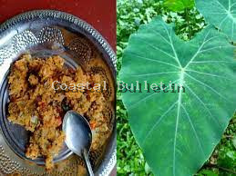 ಆಟಿ ತಿಂಗಳಿನಲ್ಲಿ ಮಾಡುವ ಪತ್ರೋಡೆಯ ಉಪಯೋಗಗಳು ತಿಳಿಯಿರಿ 
