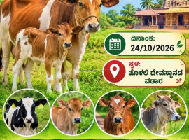 ಪೊಳಲಿ:ಅ.24ರಂದು ಮಿಶ್ರ ತಳಿ ಹೆಣ್ಣು ಕರುಗಳ ಪ್ರದರ್ಶನ ಮತ್ತು ಮಾಹಿತಿ ಕಾರ್ಯಾಗಾರ.
