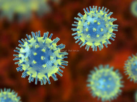 ಕೇರಳದಲ್ಲಿ ಹೆಚ್ಚುತ್ತಿರುವ ಕೊರೊನಾ ಸೋಂಕು,ರಾಜ್ಯದ ಗಡಿಭಾಗದಲ್ಲಿ ಆರೋಗ್ಯ ಇಲಾಖೆಯಿಂದ ತೀವ್ರ ತಪಾಸಣೆ.