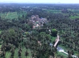 ಬಿಡದಿ ಟೌನ್&zwnj;ಶಿಪ್| ಕೋರ್ಟ್ ಅನುಮತಿ ಇಲ್ಲದೆ ಒಂದು ಇಟ್ಟಿಗೆಯೂ ಅಲುಗಾಡುವಂತಿಲ್ಲ, ಮರ ಕಡಿಯುವಂತಿಲ್ಲ: ಹೈಕೋರ್ಟ್