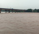 ಬಂಟ್ವಾಳ :ನೇತ್ರಾವತಿ ನೀರಿನ ಮಟ್ಟದಲ್ಲಿ ಏರಿಕೆ,&nbsp;ಮುಂಜಾಗೃತ ಕ್ರಮ ಕೈಗೊಳ್ಳಲು ಶಾಸಕ ರಾಜೇಶ್ ನಾಯ್ಕ್ ಸೂಚನೆ, 15 ಕುಟುಂಬಗಳ ಸ್ಥಳಾಂತರಕ್ಕೆ ಸೂಚನೆ..