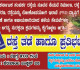 ಪೆರುವಾಯಿಯ &ldquo;ಸಾವಿನ ಸೇತುವೆಗಳು&rdquo;: 10 ದಿನದಲ್ಲಿ 2 ವಾಹನ ನದಿಗೆ, ಆಡಳಿತಕ್ಕೆ ಎಚ್ಚರಿಕೆ ಗಂಟೆ!